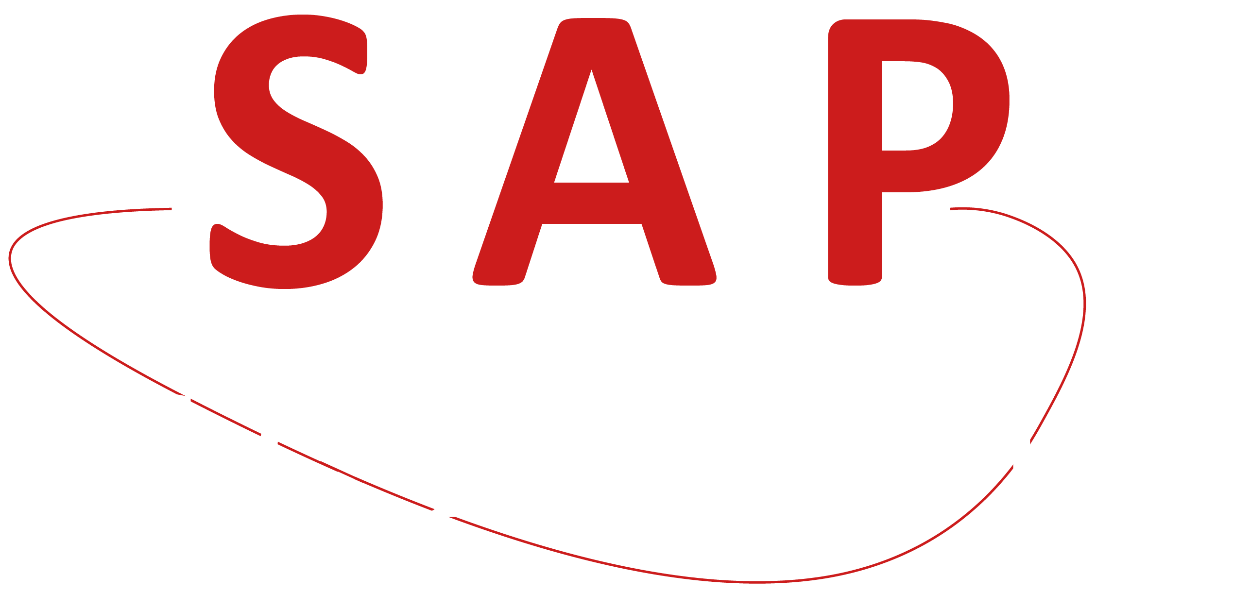 SAP CONSEILS