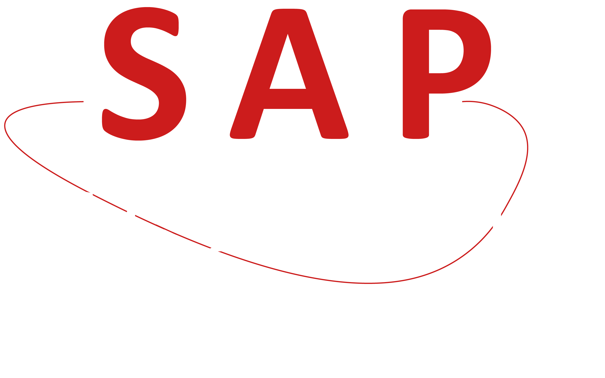 SAP CONSEILS