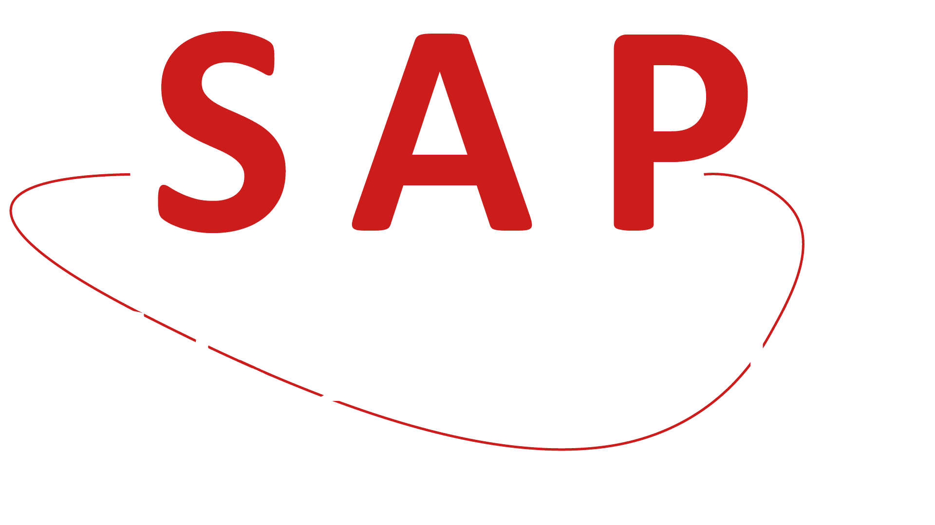 SAP CONSEILS